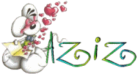 aziz